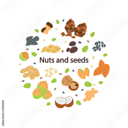 Modern hand drawn round frame with different nuts and seeds. Organic healthy food concept. Vector background for your design