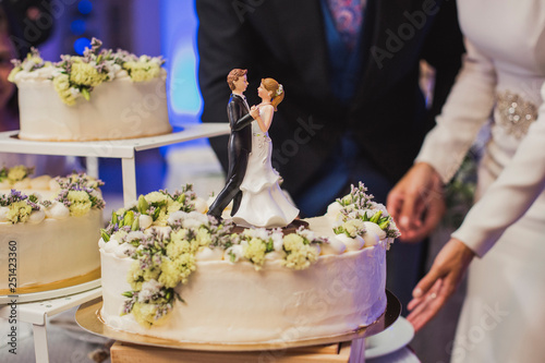 bride and groom figurines on the wedding cake