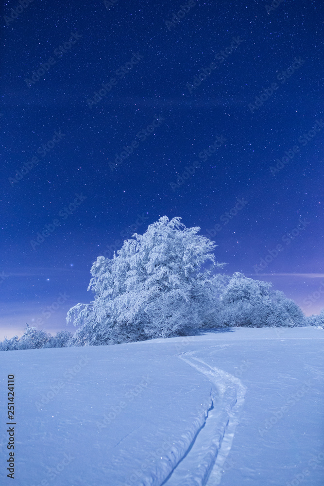 There is nothing more beautiful while trekking in the mountains than to admire the night sky above a frozen forest