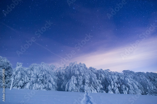 There is nothing more beautiful while trekking in the mountains than to admire the night sky above a frozen forest © Andrei