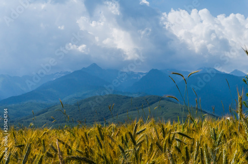 Wonderful Carpathian mountain landscape