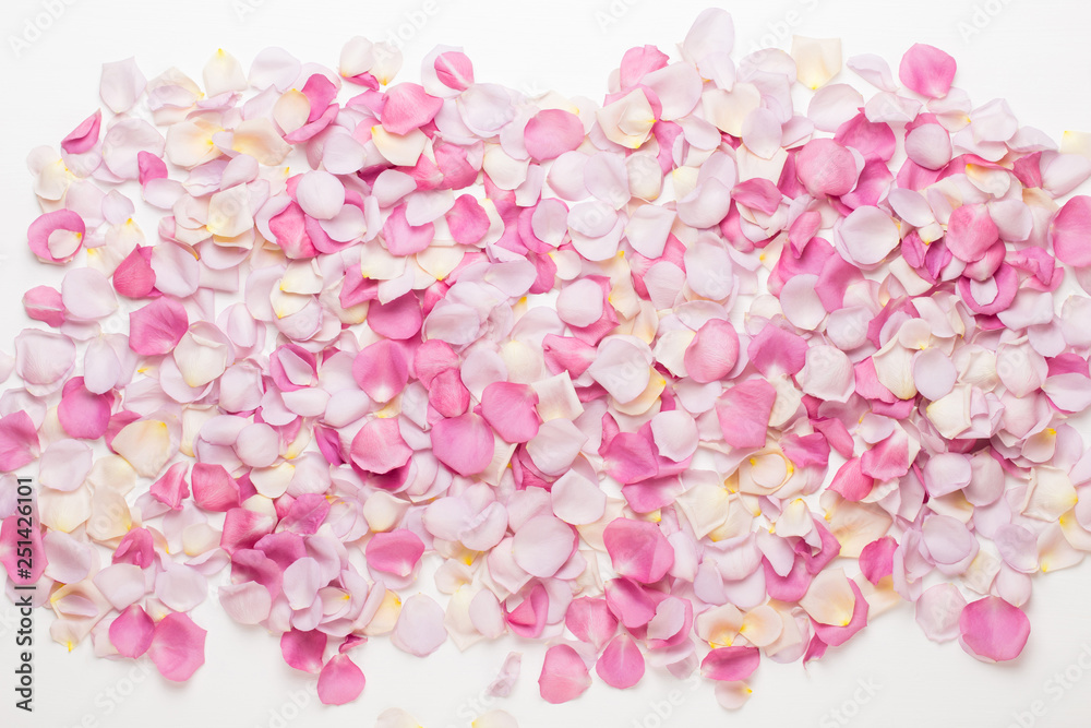 Fototapeta premium Pink rose flowers petals on white background. Flat lay, top view, copy space.