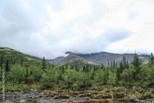 Beautiful cold northern nature: trees and rocks under heavy cloudy sky with clouds