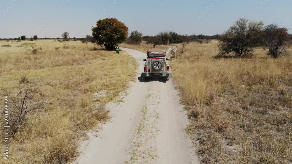4x4 offroad vehicle driving through wild savannah landscape of Central Botswana Kalahari landscape close to Makgadikgadi Pans on the way to Kubu Island, Aerial drone shot 4x4 offroad vehicle driving through wild savannah landscape of Central Botswana Kalahari landscape close to Makgadikgadi Pans on the way to Kubu Island, Aerial drone shot