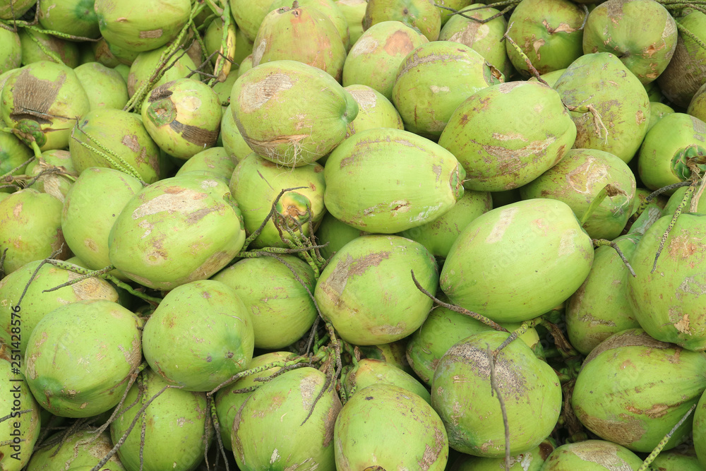 Pile of tropical fresh young coconuts selling for coconut juice Pile of tropical fresh young coconuts selling for coconut juice