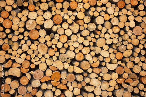 Chopped firewood logs ready...