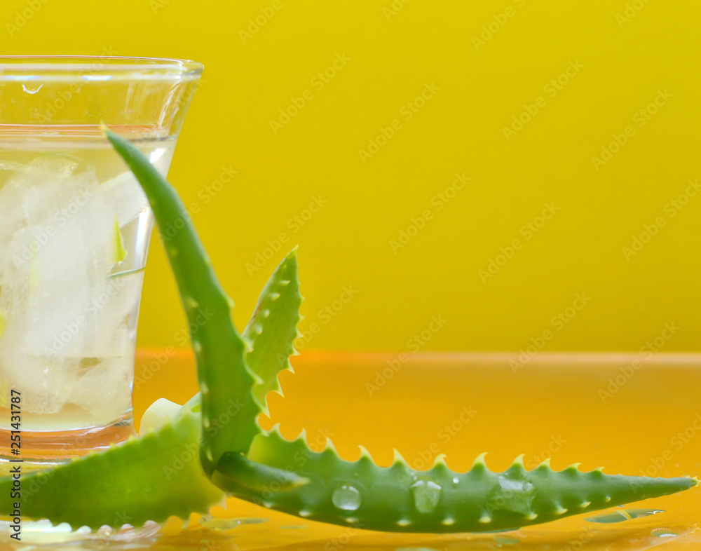 Naklejka premium aloe on yellow background