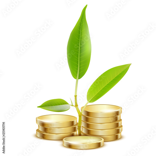 Young green sprout from pile of gold coins