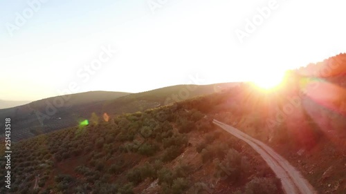 Aerial videw of olive grove in country of Jaen, Andalucia, Spain