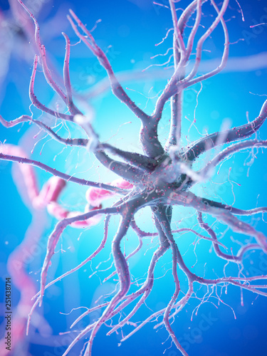 3d rendered illustration of a human nerve cell