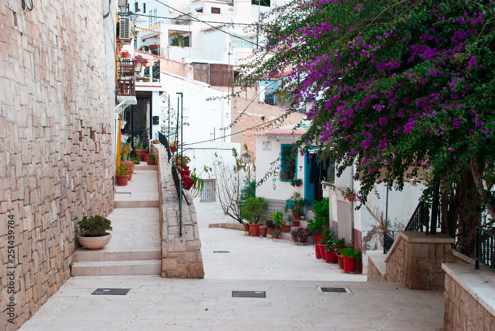 Obraz premium Colorful small street in Europe with green plants and flowers outdoor. Mediterranean town.