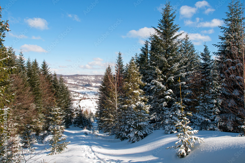 frosty day on the top of the mountain