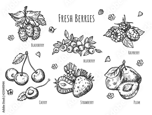 Set of monochrome berries isolated on white background