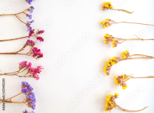 Top View Image of Dried flower on white background. Close up with Space for text.