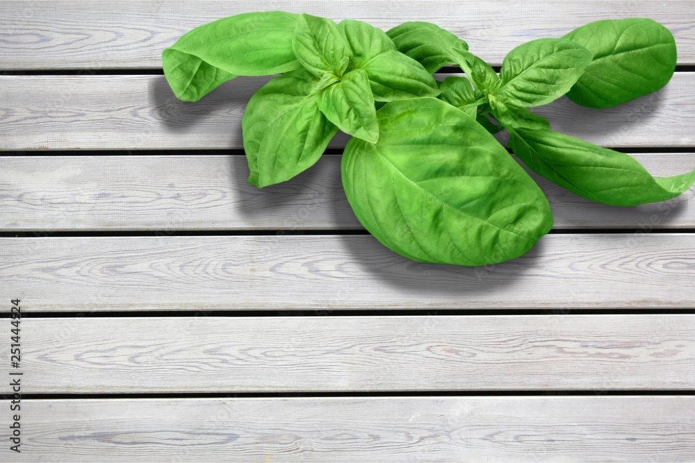 Fototapeta premium Basil.