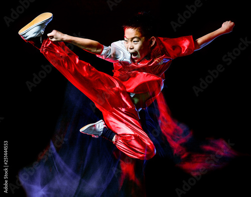 Canvas-taulu wushu chinese boxing kung fu Hung Gar fighter isolated child isolated on black b