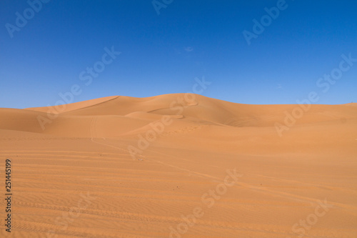 Deserto del Sahara  Dune di Erg-Chigaga  M Hamid El Ghizlane  Marocco