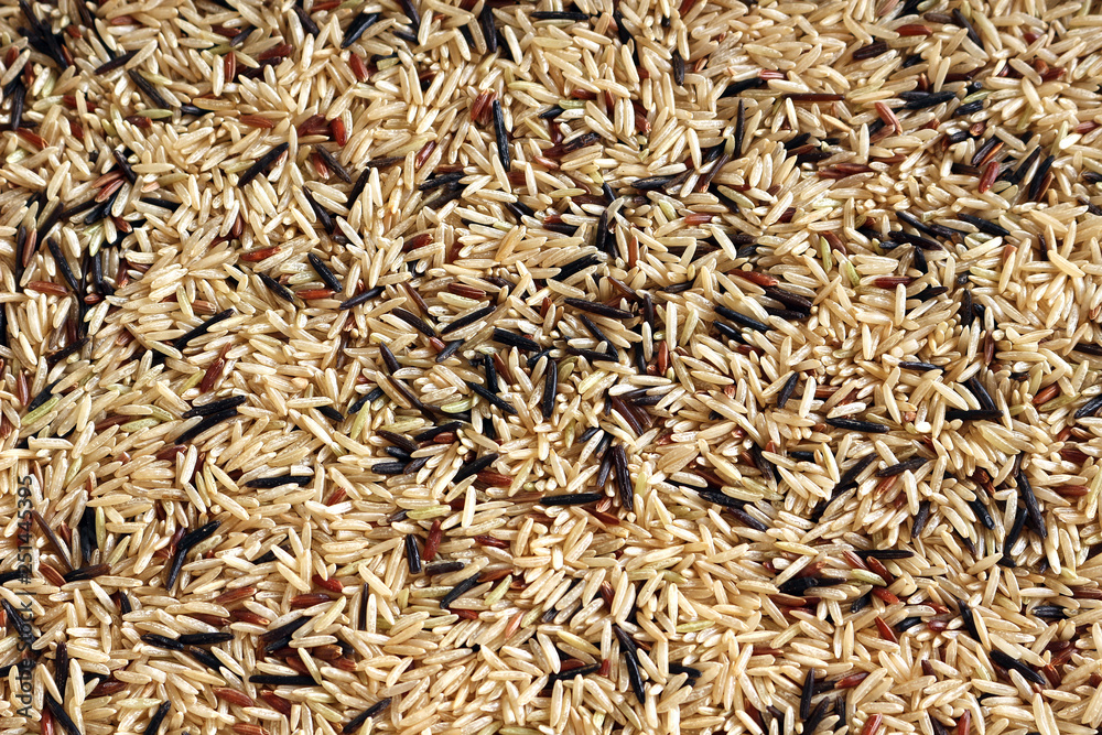 Brown Basmati, Red Camarque and Wild Rice. Close up Background Texture. Brown Basmati, Red Camarque and Wild Rice. Close up Background Texture.