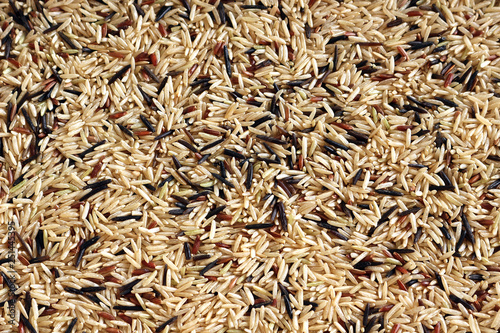 Brown Basmati, Red Camarque and Wild Rice. Close up Background Texture.
