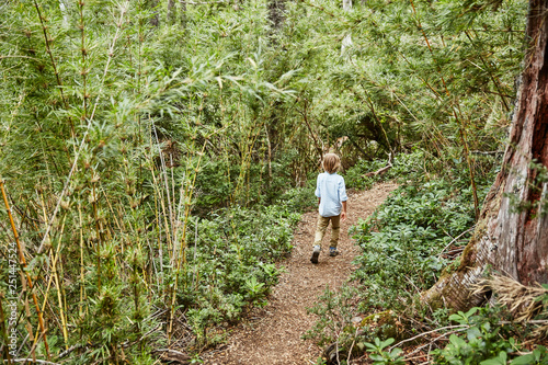 Chile, Puren, Nahuelbuta National Park, boy walking on path through forest photo