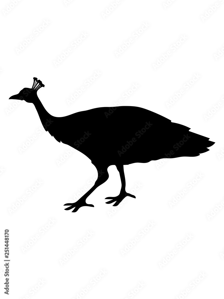 vogel silhouette umriss schatten pfau fasan federn groß männlich schön hübsch augen zoo wildtier comic cartoon clipart design vogel silhouette umriss schatten pfau fasan federn groß männlich schön hübsch augen zoo wildtier comic cartoon clipart design