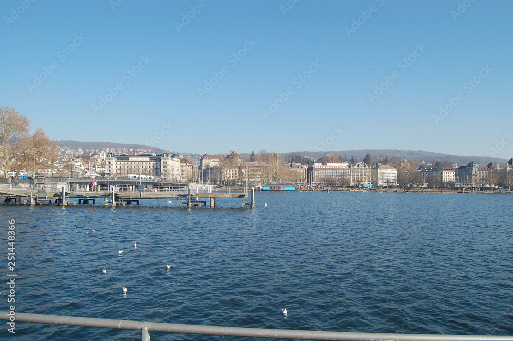 Blick auf den Zürichsee mit den Residenzen, einem Kai und Wasservögeln