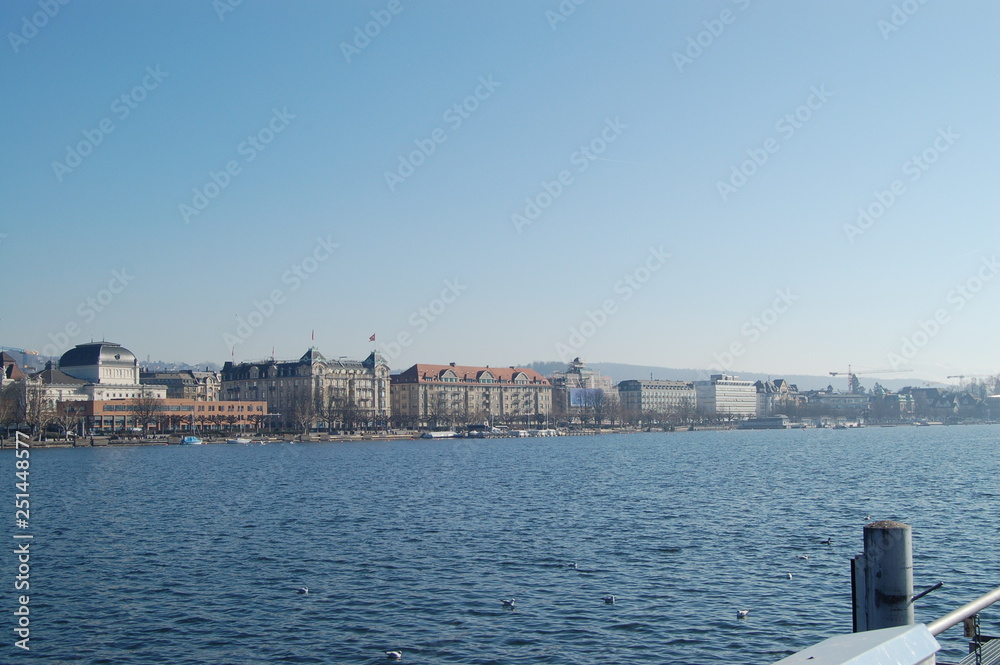 Blick auf den Zürichsee Wasservögeln und den Residenzen