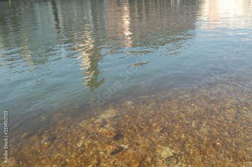 Blick in den seichten Fluss mit Steinen und Schatten