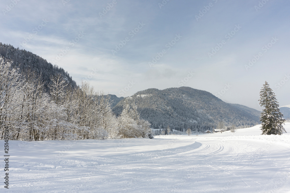 Trail for cross-country skiing Trail for cross-country skiing