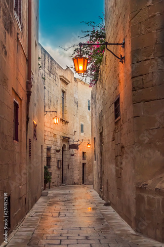 Mdina, Malta: picturesque narrow street of medieval town