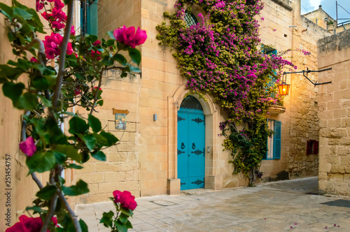 Mdina, Malta: traditional Maltese limestone house with bright purple flowers