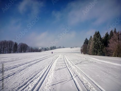 Scenic view on perfect nordic skiing trails near Nove Mesto na Morave, Czech-Moravian highlands, Czech Republic © Martin