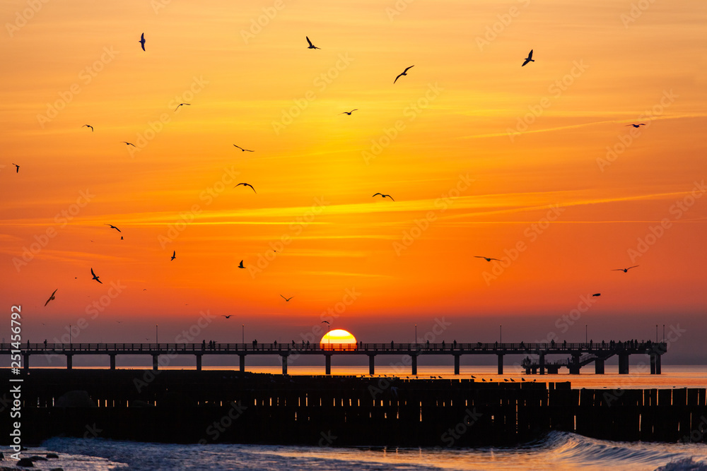 Obraz premium silhouettes of birds in the sky and people watching a bright orange sunset on the sea standing on the pier