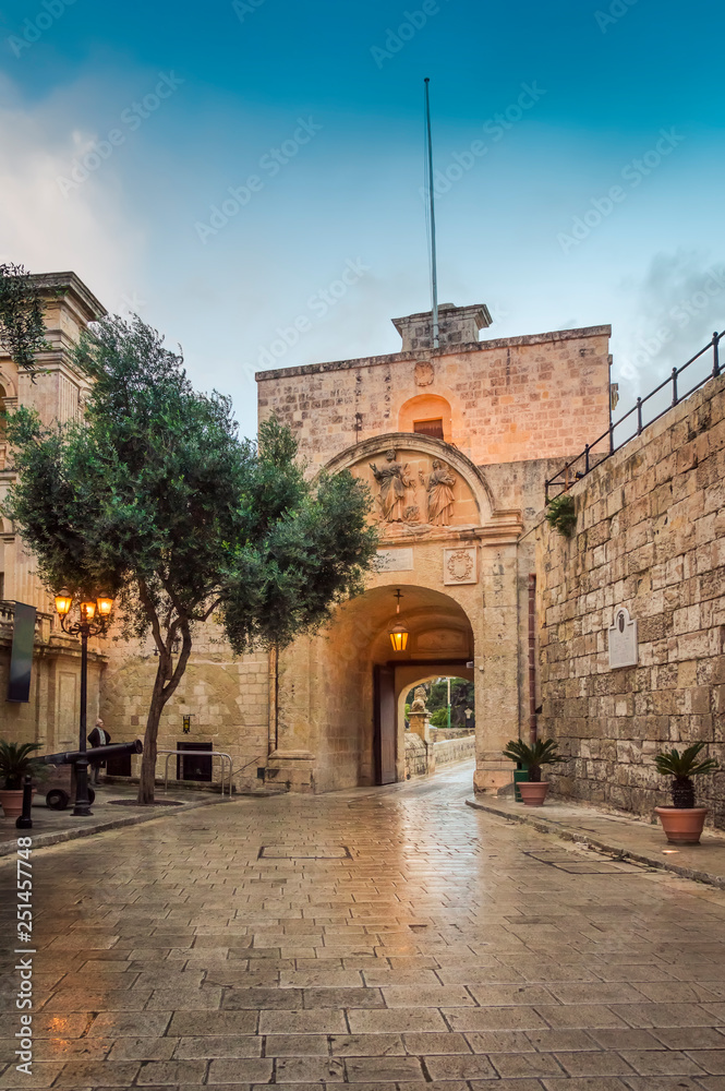 Mdina, Malta: picturesque Mdina Gate with cannons and tree