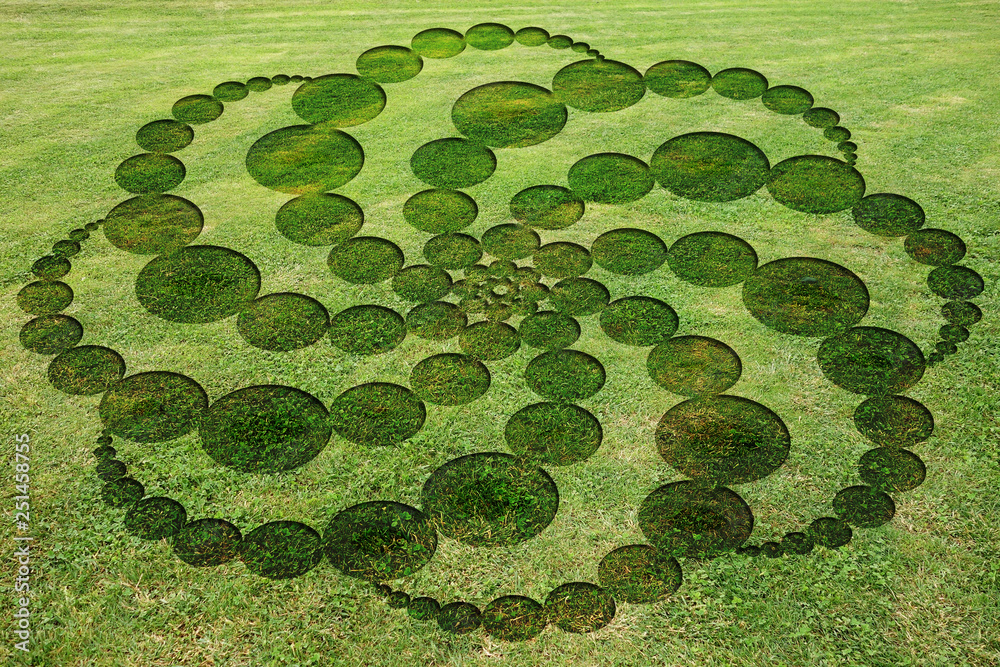 Concentric circles spirals encrypted symbols fake crop circle in the meadow  - obrazy, fototapety, plakaty 