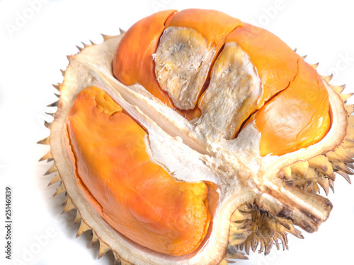 Durian Lai, Durio Kutejensis, Yellow Durian of Borneo Kalimantan photo