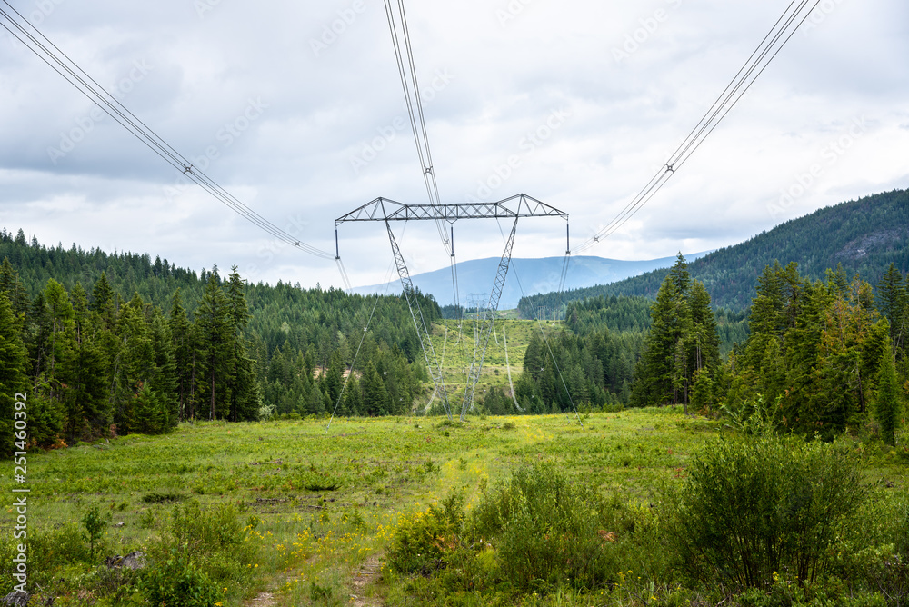 Electricity Pylons Supporting  High Voltage Wires through a Forest in a Mountain Setting. British Columbia, Canada.