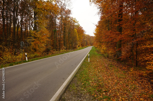 Straight Country Road Autumn