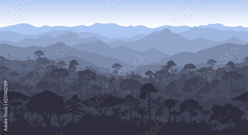 Vector horizontal seamless tropical rainforest Jungle forest background