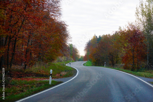 Winding Fall Road