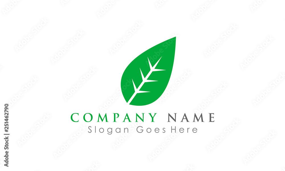 nature leaf vector nature leaf vector