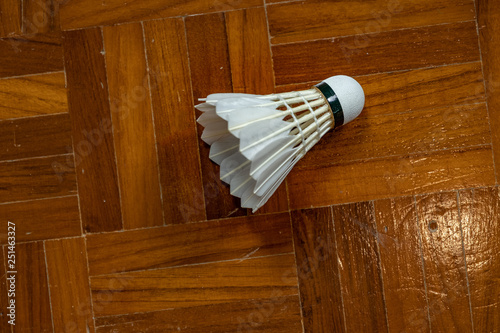 Badminton Shuttlecock on wood floor