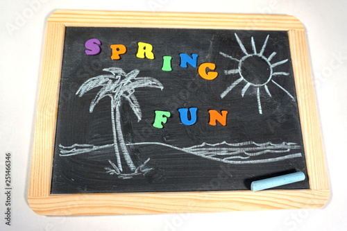 Spring design on chalkbord with palm tree and beach photo