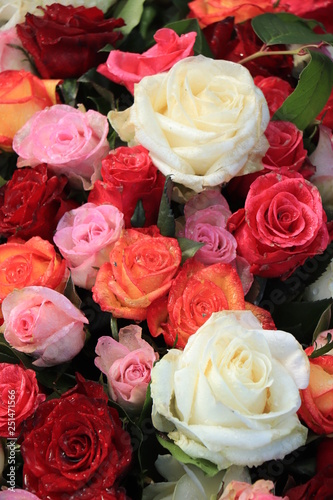 Mixed wedding roses © Studio Porto Sabbia