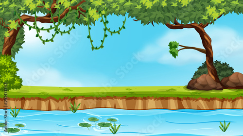 A nature pond landscape