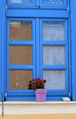 Blue window and flower pot