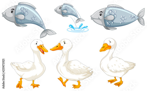 Set of duck and fish