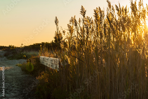 Culvert near beach on Buzzards Bay