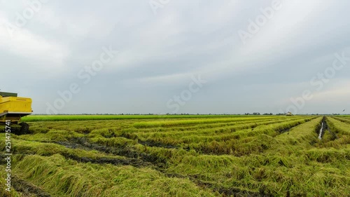 SABAK BERNAM, MALAYSIA - 17th NOV 2018; 4K Time lapse of farmer uses machine to harvest rice on paddy field. Sabak Bernam is one of the major rice supplier in Malaysia. photo