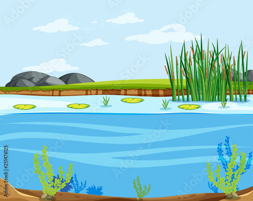 A water lake scene